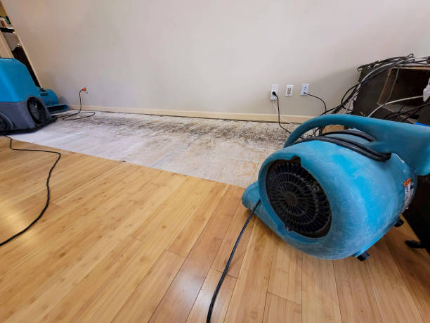Professional Flood Damage Cleanup technician working in Spirit Lake, IA